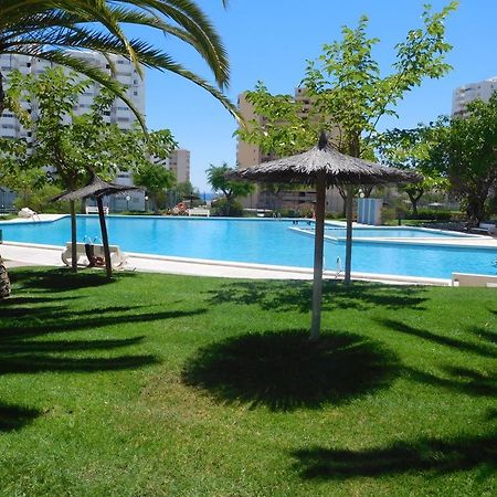 Precious Apartment In Alicante, Playa San Juan Extérieur photo